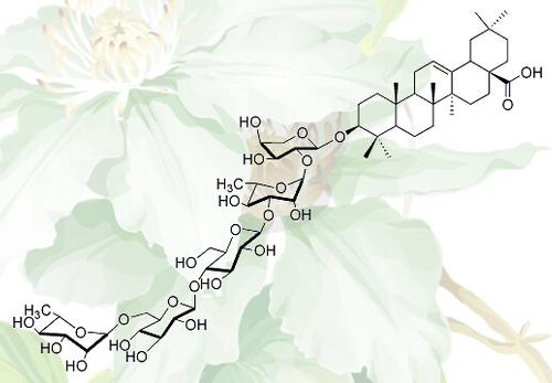 Oleanolic acid - 3-O-α-L-rhamnosyl(1→6)β-D- Galactosyl( 1→3)-β-D-glucosyl( 1→3)-α-L-rhamnosyl(1→2)-α