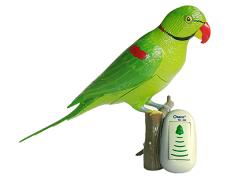 Recordable Parrot Wireless Doorbell(RD-388)