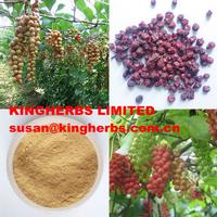 Schizandra Berry Extract
