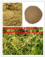 Semen Cuscutae Extract