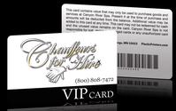 Plastic Card/ VIP Card/ Membership Card/ Gift Card/Greeting Card 
