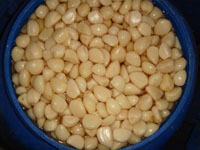  Garlic Cloves in Brine
