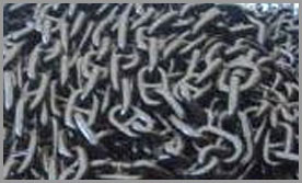 anchor chain