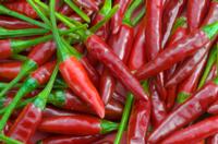 capsaicin, capsaicine