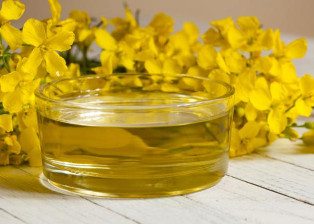 100 % Pure Refined Rapeseed Oil