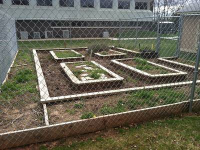 Chicken Wire Mesh Used In Garden