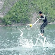 Waterbird