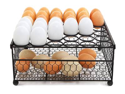 Chicken Wire Mesh Made Rigid Basket