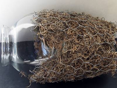 Chicken Wire For Crafts To Surprise