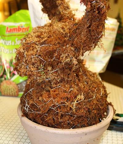 Chicken Wire For Crafts To Surprise