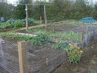 Chicken Wire Mesh Used In Garden