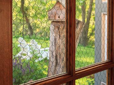 Corrugated Or Flat Glass Used Chicken