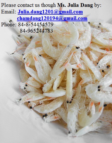 Vietnamese Dried Baby Shrimp