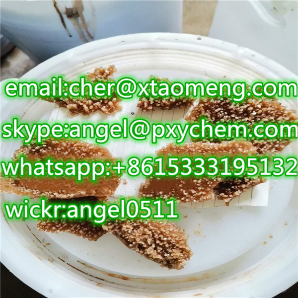 Wholesale Euty Lone EU Cheap Price