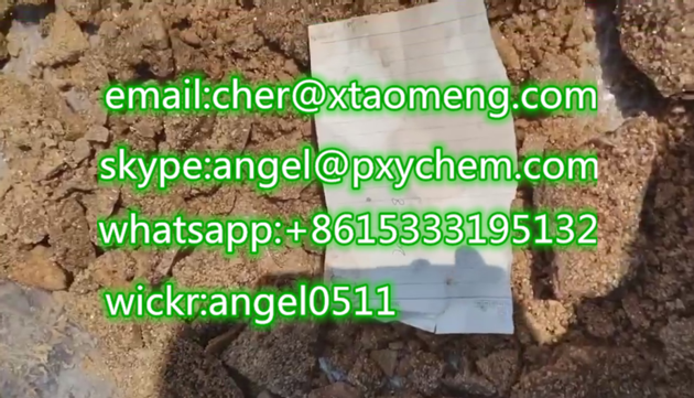 Wholesale Euty Lone EU Cheap Price