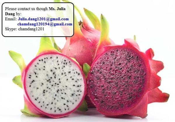 Vietnamese Dragon Fruit