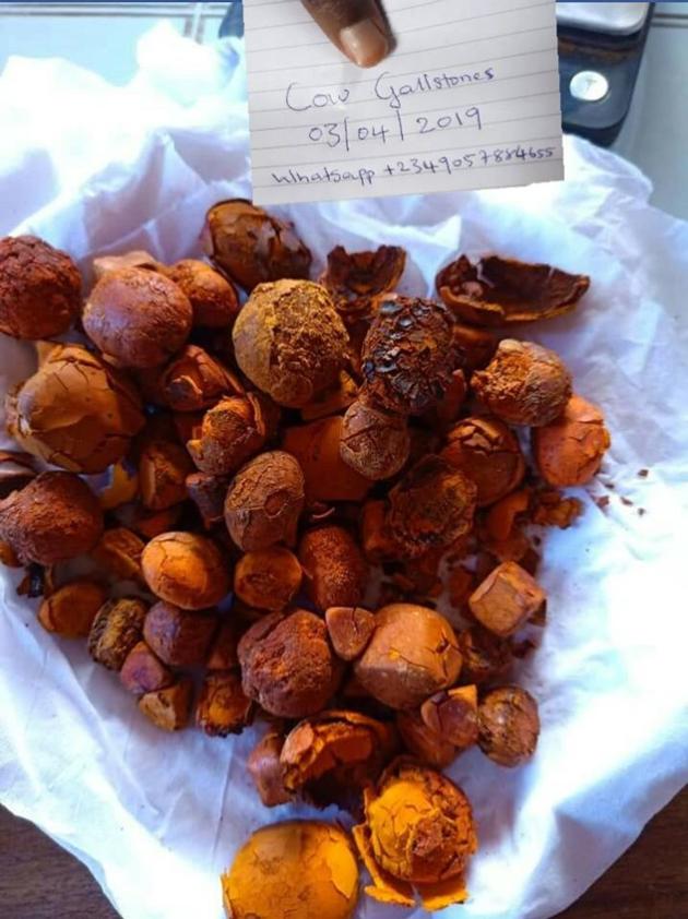 cow gallstones