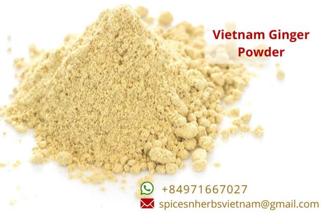 Vietnam Ginger Export Products