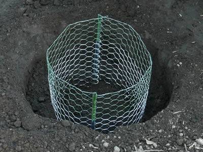 Gopher Control Wire Mesh Protects Lawn
