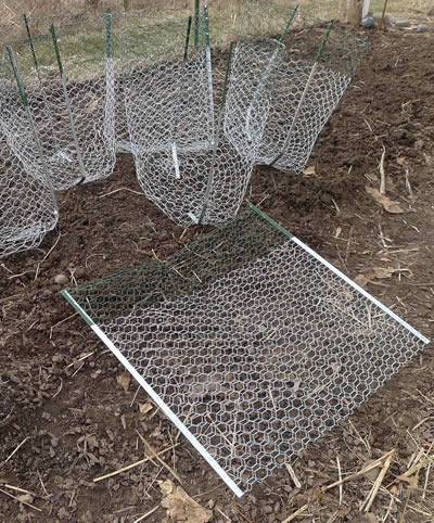 Gopher Control Wire Mesh Protects Lawn