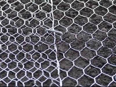 Gopher Control Wire Mesh Protects Lawn