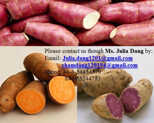 Vietnamese Sweet potato