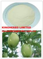 Phlorizin