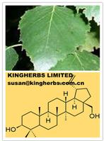 Birch Leaf Extract