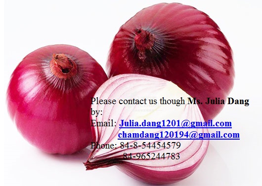 Vietnamese Red/Purple onion