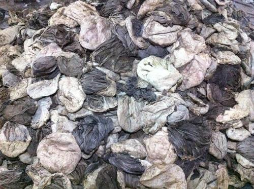 dry salted cow omasum