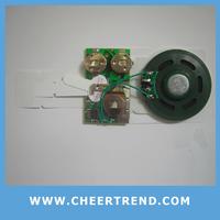 sound module for greeting card