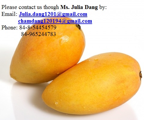 Vietnamese Mango