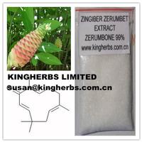 Zingiber Zerumbet Extract