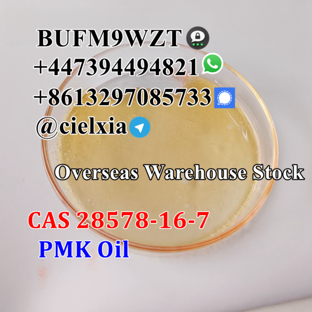 High Yield CAS 28578-16-7 PMK glycidate PMK powder/oil