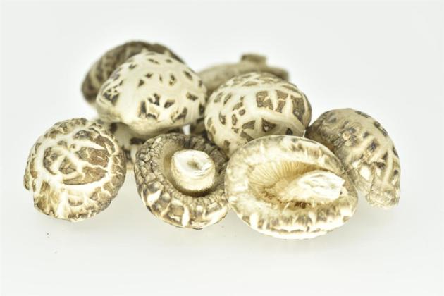 Delicious White Flower Mushroom, Dried Mushroom Shiitake