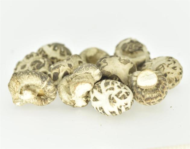 Nature Dried Mushroom, White Flower Mushroom, Shiitake Mushroom