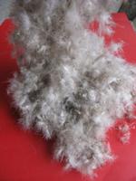 washed white/grey sticky down 