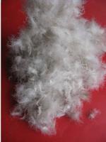 washed white duck sticky down 