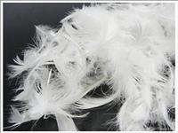 washed white goose feather2-4cm