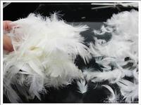 washed white goose down4-6cm