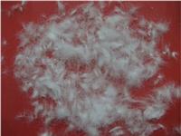 90% washed white goose down 