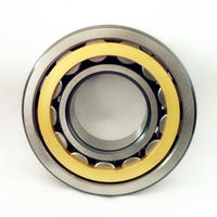 Cylindrical Roller Bearing NU1036