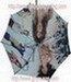 individuality umbrella