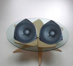 BOSE N4.5 speaker