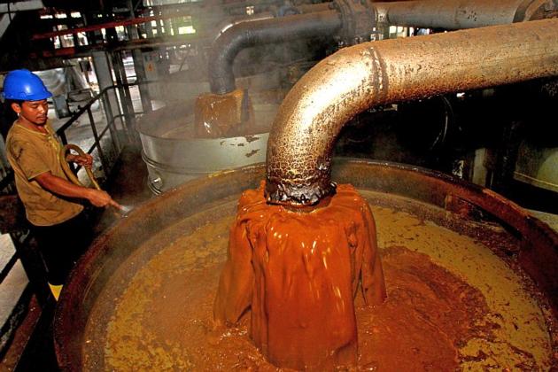 Palm Oil