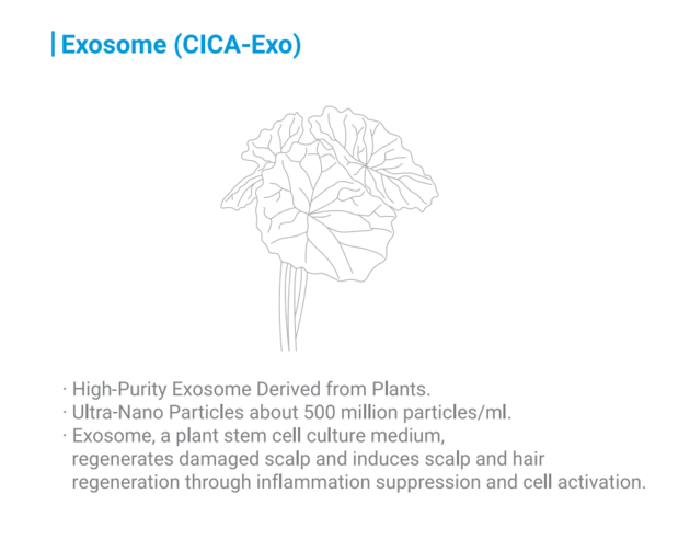 VELASH EXO PLUS Exosome PDRN Premium