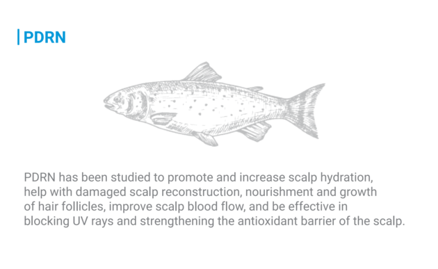 VELASH EXO PLUS Exosome PDRN Premium