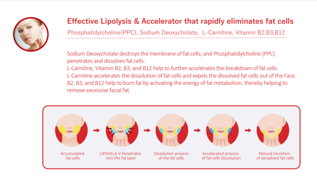 LIPO VELA V Premium Lipolysis Solution