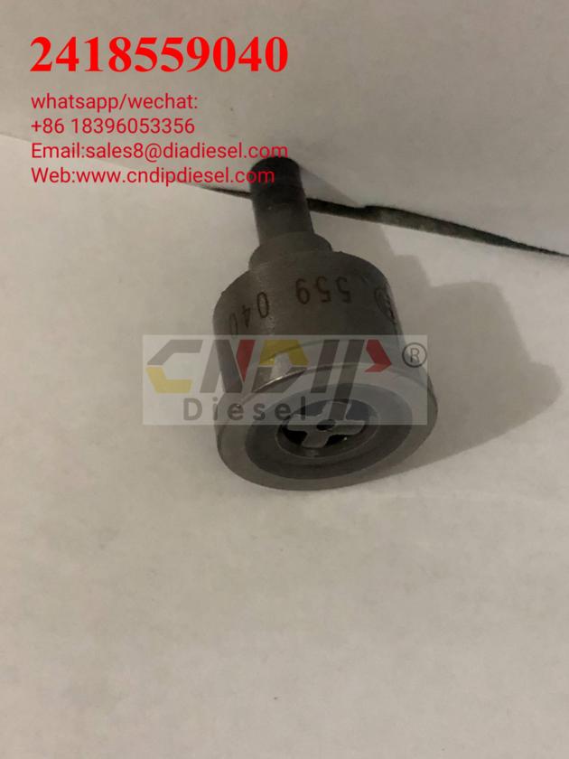 2418559040 Delivery Pump Oil Valve 2418559040