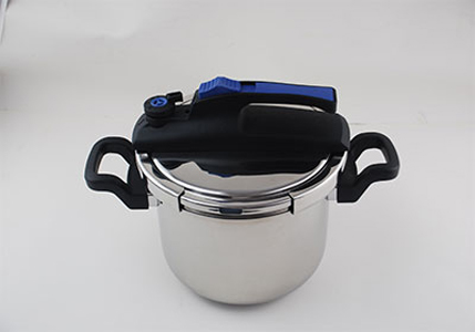 DSX Model Pressure Cooker 202108